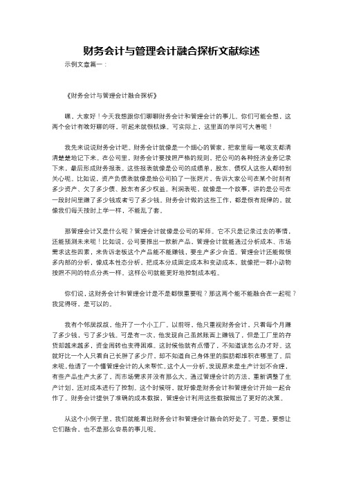 财务会计与管理会计融合探析文献综述