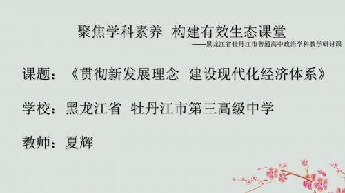 高中政治10.1贯彻新发展理念,建设现代化经济体系课件新人教版必修1