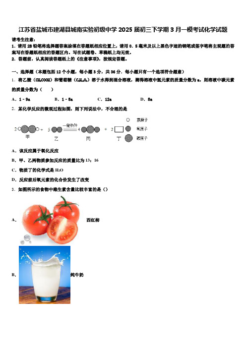 江苏省盐城市建湖县城南实验初级中学2025届初三下学期3月一模考试化学试题含解析