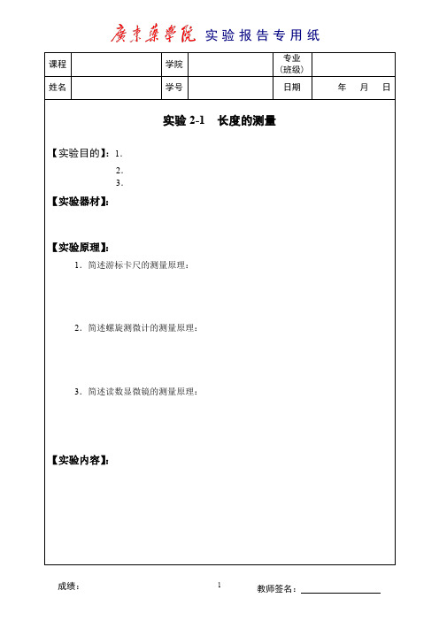 大学物理实验2-1报告模板(中山)