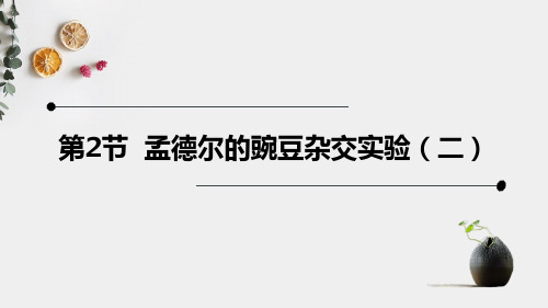 高一下学期生物人教版必修二 121 孟德尔的豌豆杂交实验(二)课件(18张PPT)