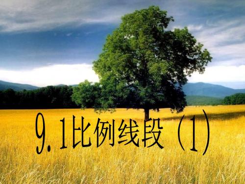 4.1比例线段