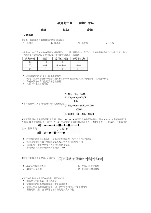 福建高一高中生物期中考试带答案解析
