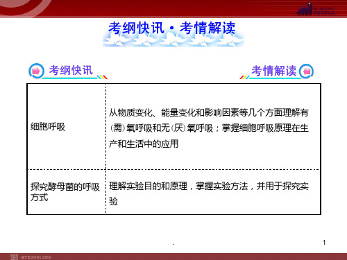 高考冲刺生物总复习细胞呼吸