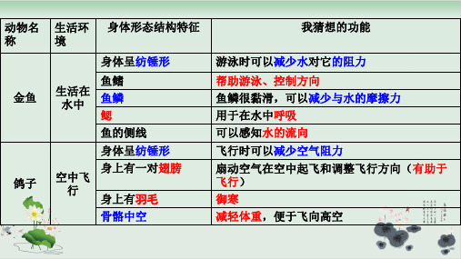 六年级上册科学课件PPT：谁选择了它们 教科版