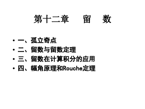 大学数学  实函数与复函数微积分  孤立奇点