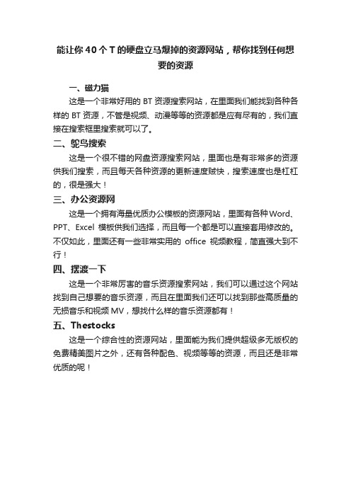 能让你40个T的硬盘立马爆掉的资源网站，帮你找到任何想要的资源