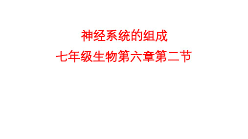 人教版七年级生物第六章第二节 神经系统的组成课件