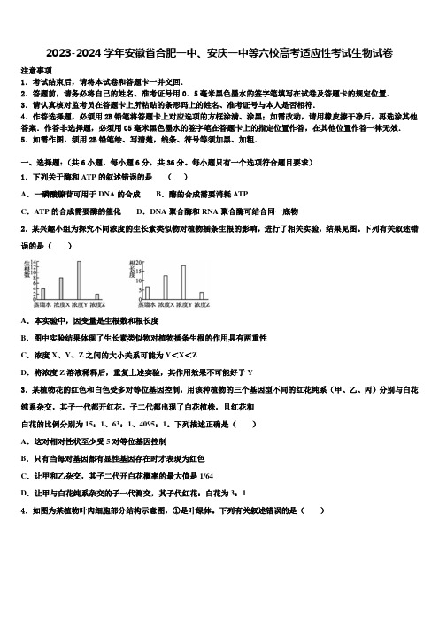 2023-2024学年安徽省合肥一中、安庆一中等六校高考适应性考试生物试卷含解析