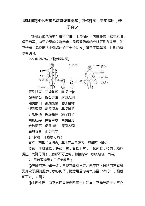 武林秘籍少林五形八法拳详细图解，简练朴实，易学易用，便于自学