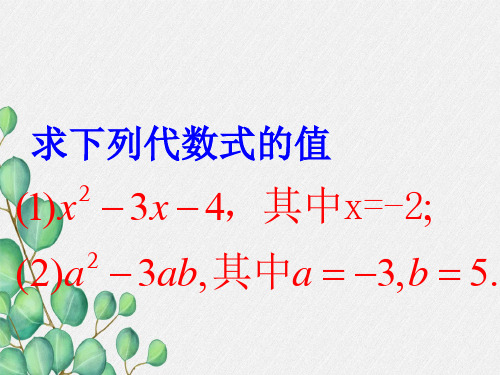 《整式》PPT课件 (公开课)2022年北师大版 (8)