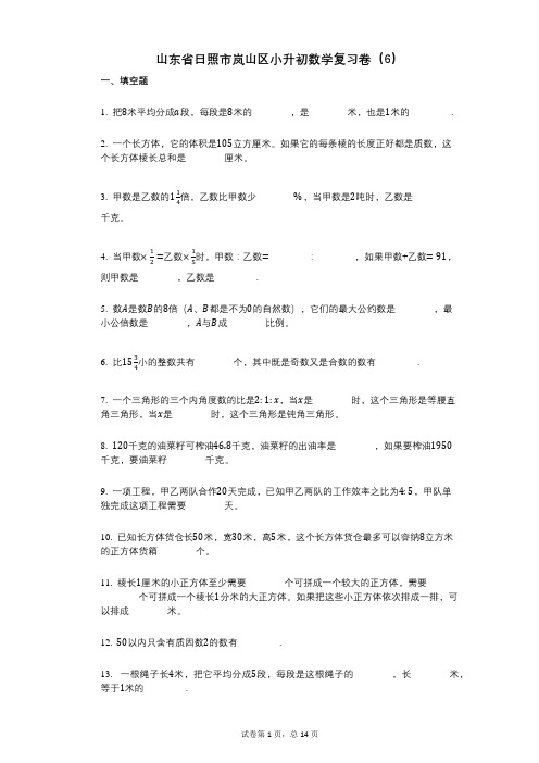 小学数学-有答案-山东省日照市岚山区小升初数学复习卷(6)