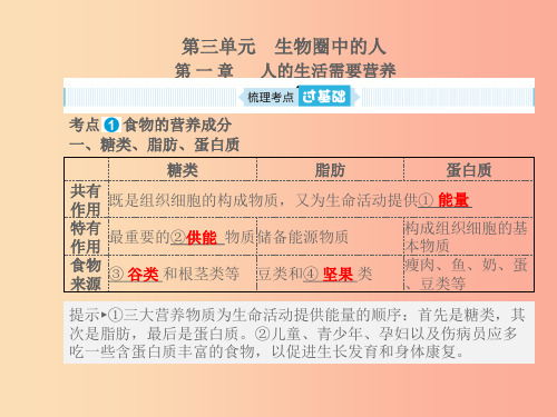 滨州专版山东省2019年中考生物总复习第三单元生物圈中的人第一章人的生活需要营养课件