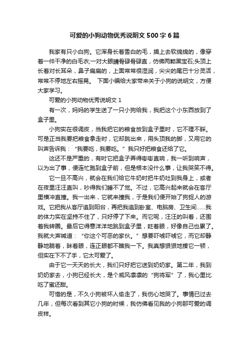 可爱的小狗动物优秀说明文500字6篇