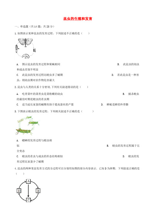 八年级生物下册第七单元第一章第二节昆虫的生殖和发育同步测试新版新人教版_46