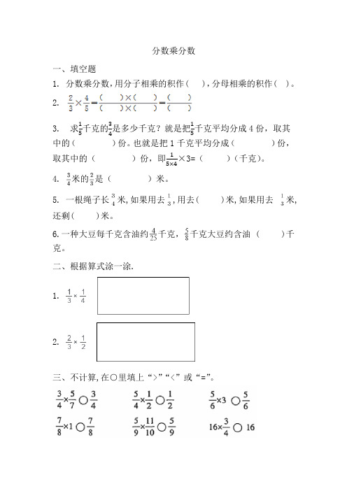 分数乘分数(同步练习)人教版六年级上册数学  