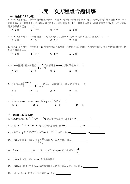 二元一次方程组专题训练及答案