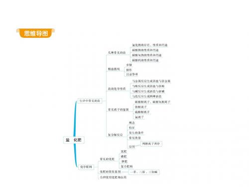 盐化肥课题1生活中常见的盐-人教版九年级化学下册课件