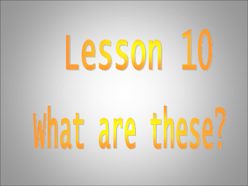 科普版英语四年级下册：lesson10  教学课件