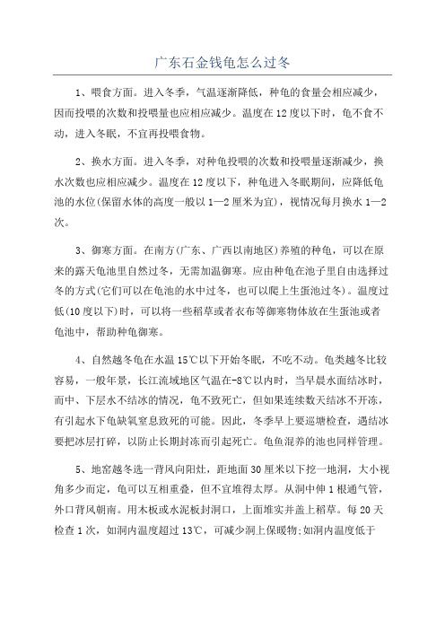 广东石金钱龟怎么过冬