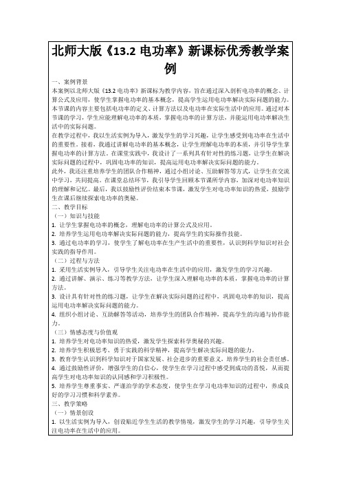 北师大版《13.2电功率》新课标优秀教学案例