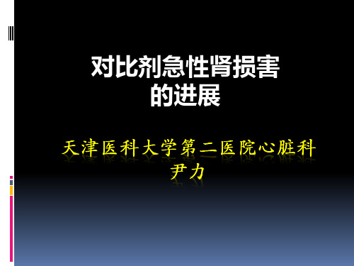 对比剂急性肾损害的进展