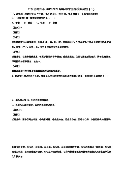 广东省梅州市2019-2020学年中考生物模拟试题(3)含解析