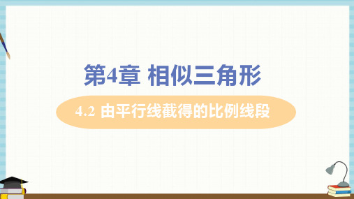 浙教版九年级上册数学课件 第4章 相似三角形4