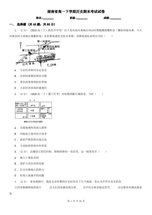 湖南省高一下学期历史期末考试试卷