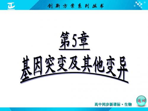 【创新方案】2016年高中生物人教版必修二配套课件 第5章 第1节 基因突变和基因重组