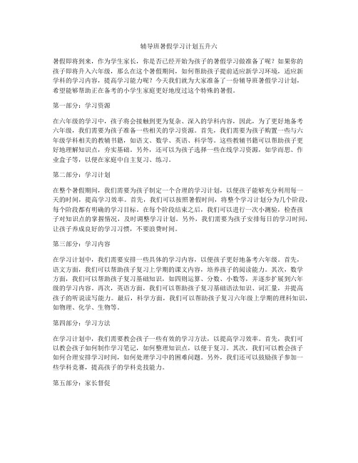 辅导班暑假学习计划五升六