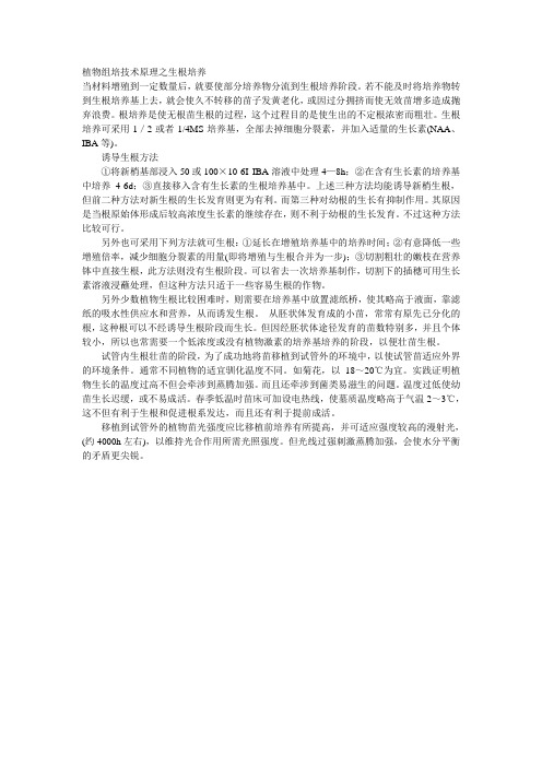 植物组培技术原理之生根培养