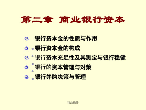 第2章 商业银行资本(精编课件).ppt