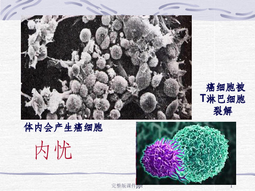 《人体免疫生物》PPT课件 (2)