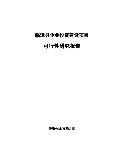 临泽县编写生产项目可行性研究报告(范文)