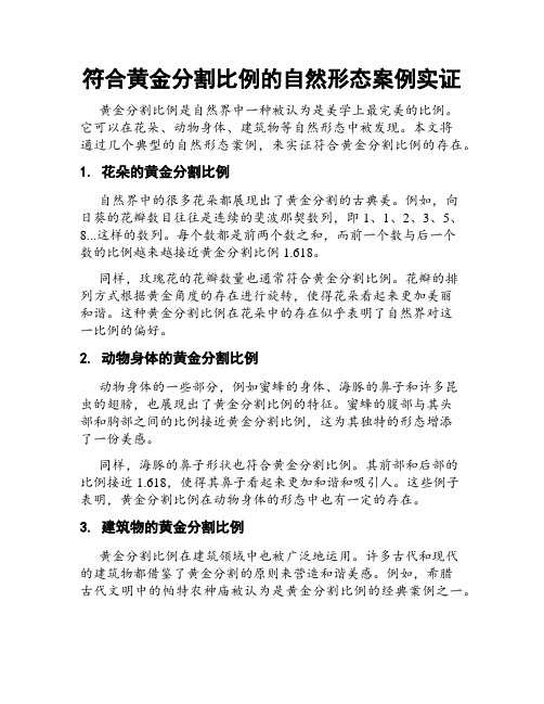 符合黄金分割比例的自然形态案例实证