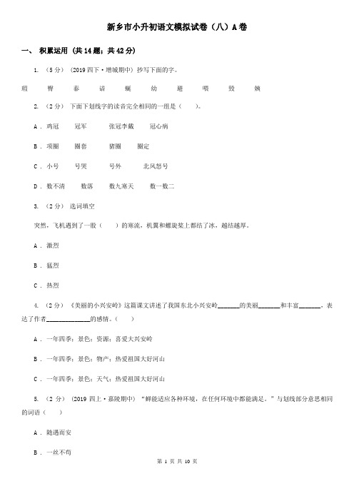 新乡市小升初语文模拟试卷(八)A卷