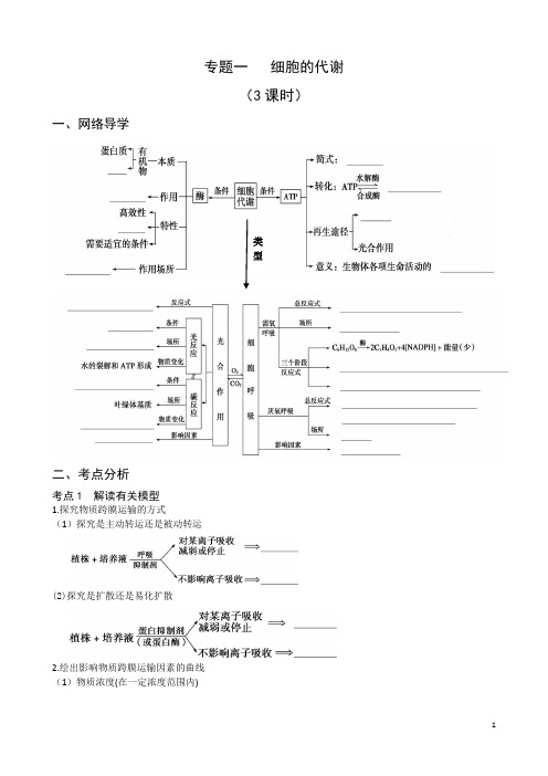 专题一   细胞的代谢