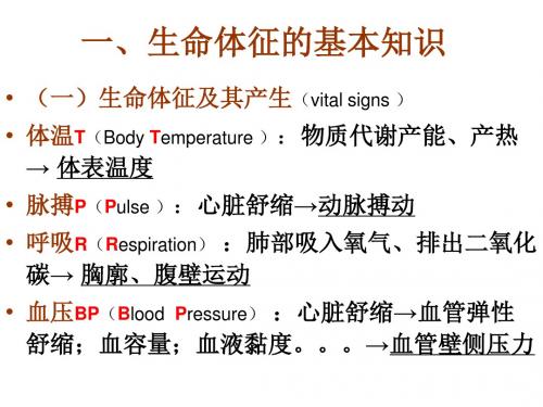 生命体征1xue下载