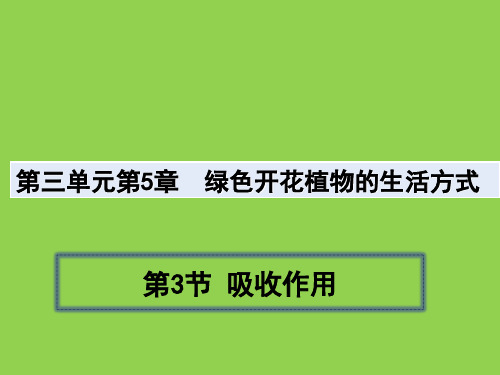 2022-2023学年北师大版生物七年级上册同步多媒体教学 第三单元第五章第3节吸收作用