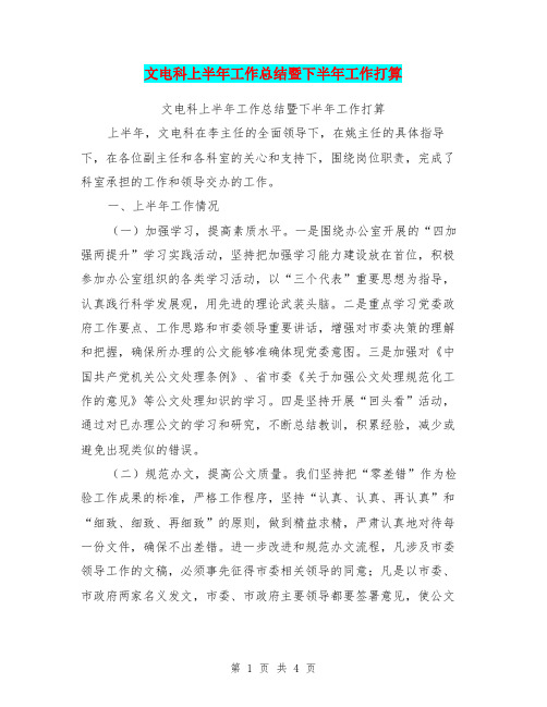 文电科上半年工作总结暨下半年工作打算【可编辑版】