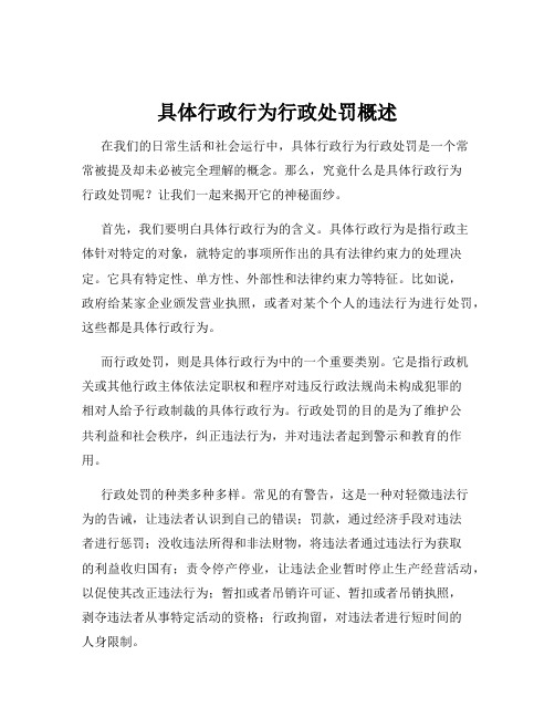 具体行政行为行政处罚概述