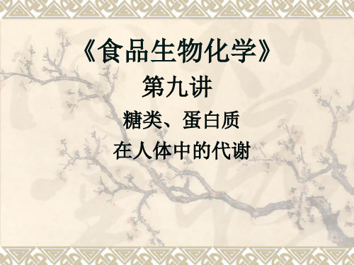 第九讲糖类、蛋白质在人体中的代谢