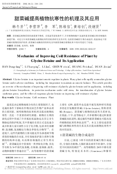甜菜碱提高植物抗寒性的机理及其应用