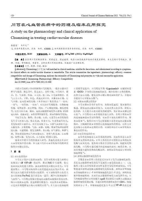 川芎在心血管疾病中的药理及临床应用探究