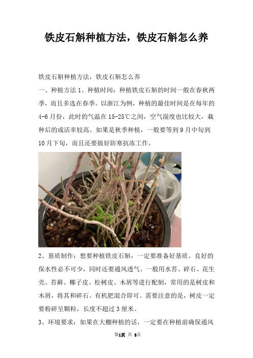 铁皮石斛种植方法,铁皮石斛怎么养