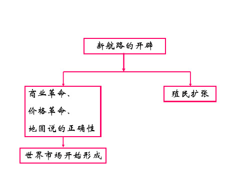 人民版历史必修2-5-2《血与火的征服与掠夺》课件-(共40张PPT)资料