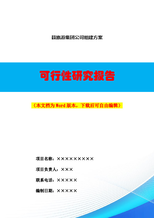 县旅游集团公司组建方案可行性研究报告Word下载