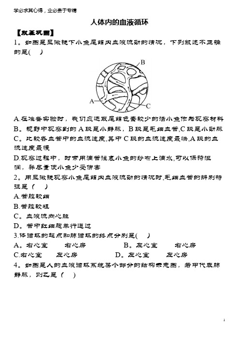 七年级生物下册4.10.2人体内的血液循环课时达标练习(含解析)