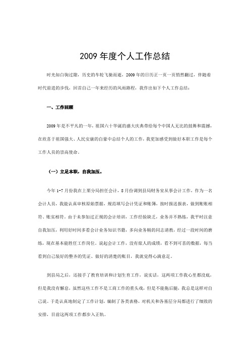 2009年度个人工作总结  会计 2份总结